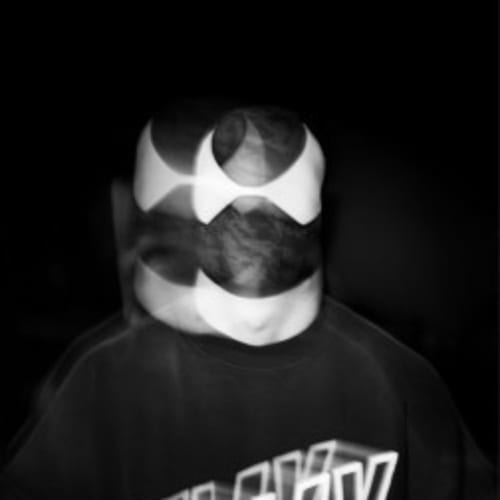 The Bloody Beetroots