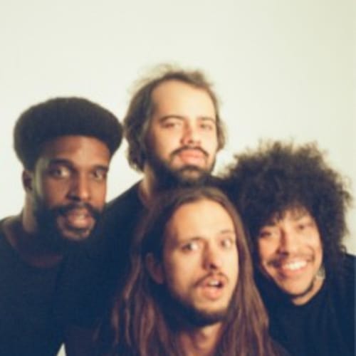 Boogarins