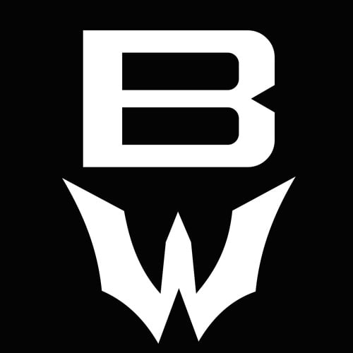 Bruce Wayne (US)