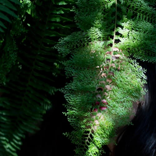 Concepcion Huerta  (cncpcn)