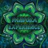 Pandora Expérience