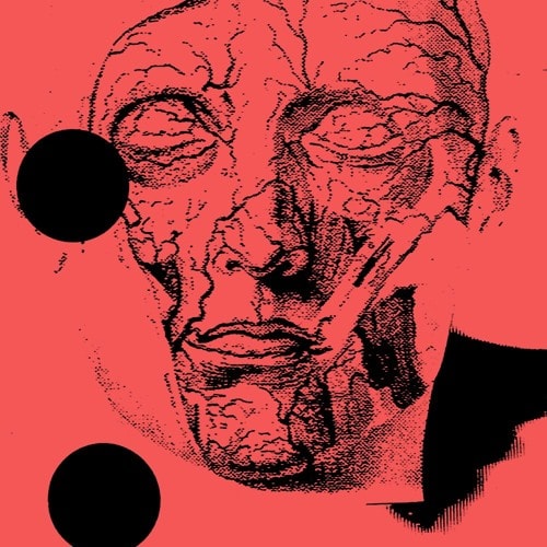 Daniel Hogrefe