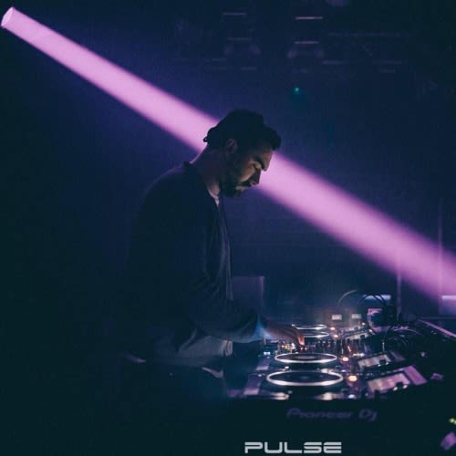 darrell_pulse