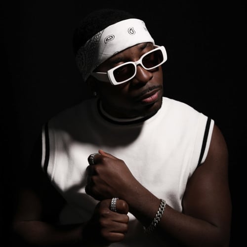 Abelha Afrozone