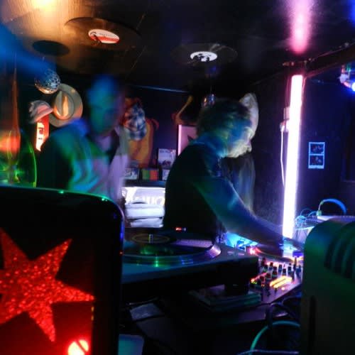 djladybird