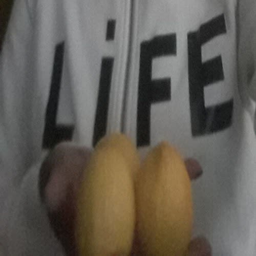d'jae terratori