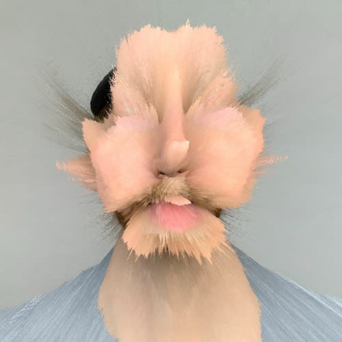 FaltyDL