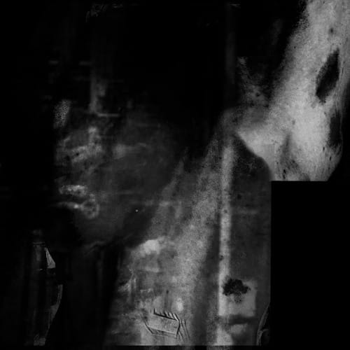 faradayribcage