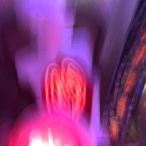 Fever Dream