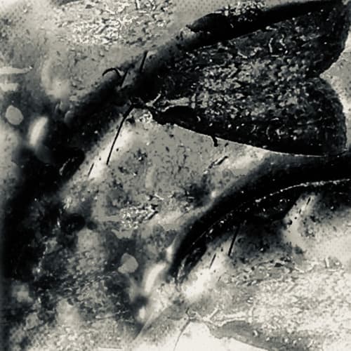 [SRNK] SURRENDER TO THE UNKNOWN