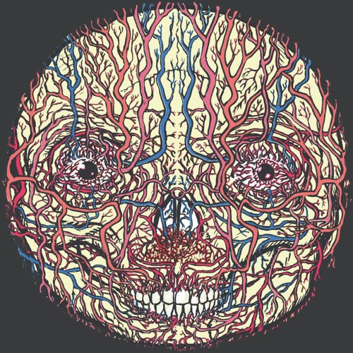 Jeffrey Lewis