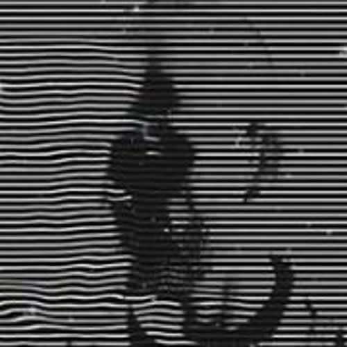 Laurent F (Douff/NewCityDealers/StereoNato/)