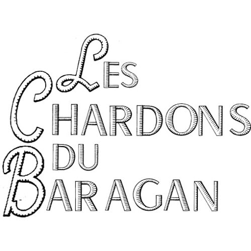 Les chardons du Baragan