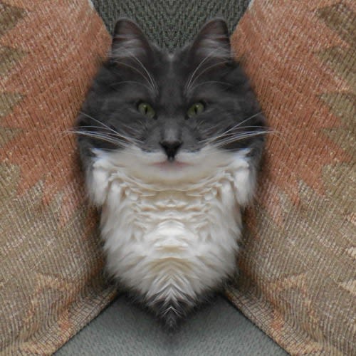 MangleSon