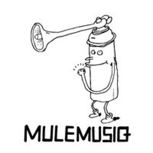 mulemusiq/endless flight