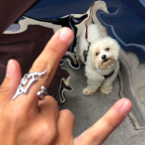 𝔫𝔞 𝔫𝔞 𝔫𝔦