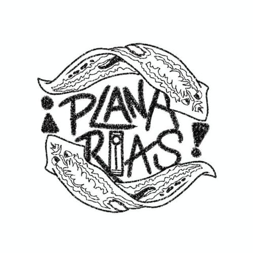 planárias
