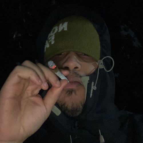 Putodiparis