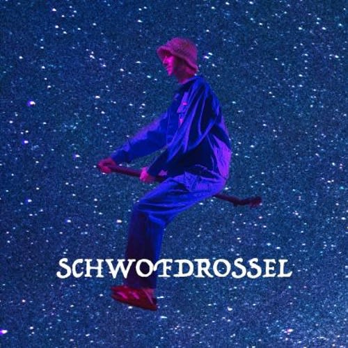 Schwofdrossel