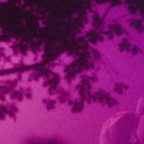 Soar