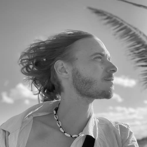 Theo Palhmer