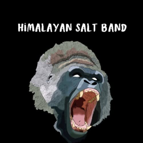 Himalayan Salt Band