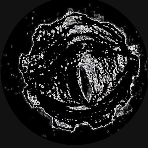 Synesis