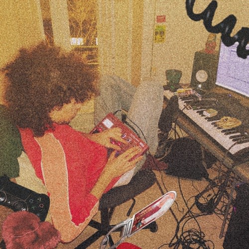 Technically not a bird