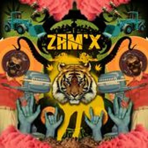 zAmiX