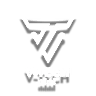 V-TECH