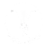 octo Poulpe Fiction