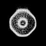 Magnetic Production
