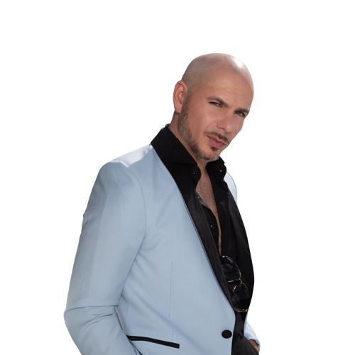 pitbull rapper suit