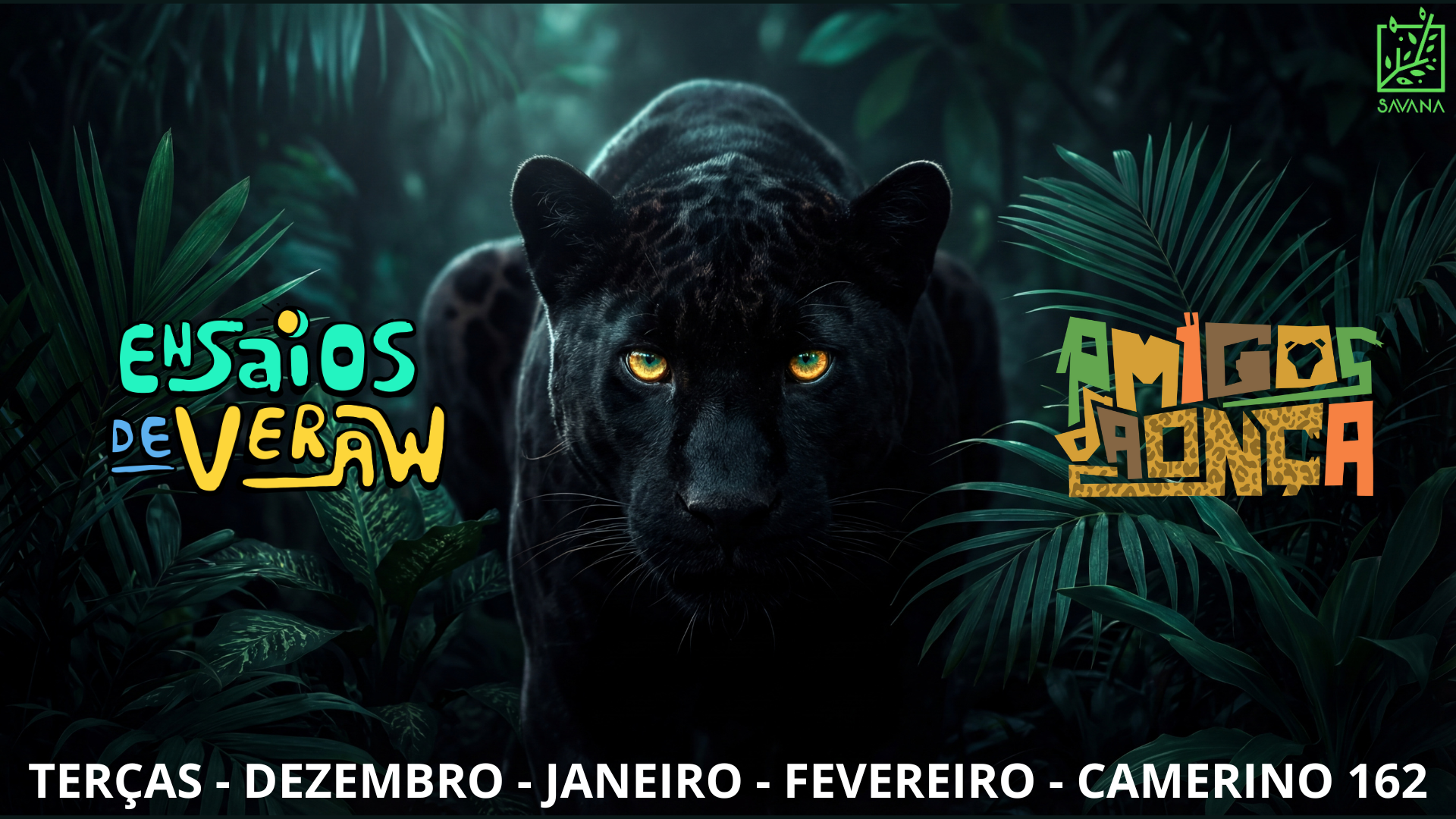 Ensaios De Verão Na Casa Savana #3