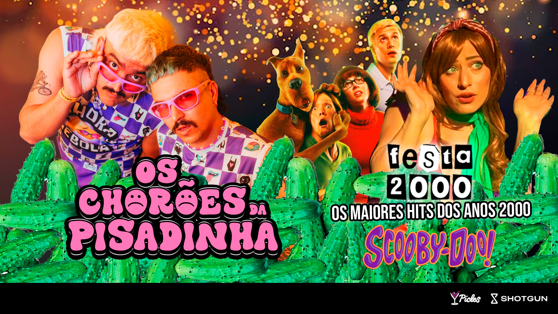 Chorões Da Pisadinha + Festa 2000 Dj Nina Hit