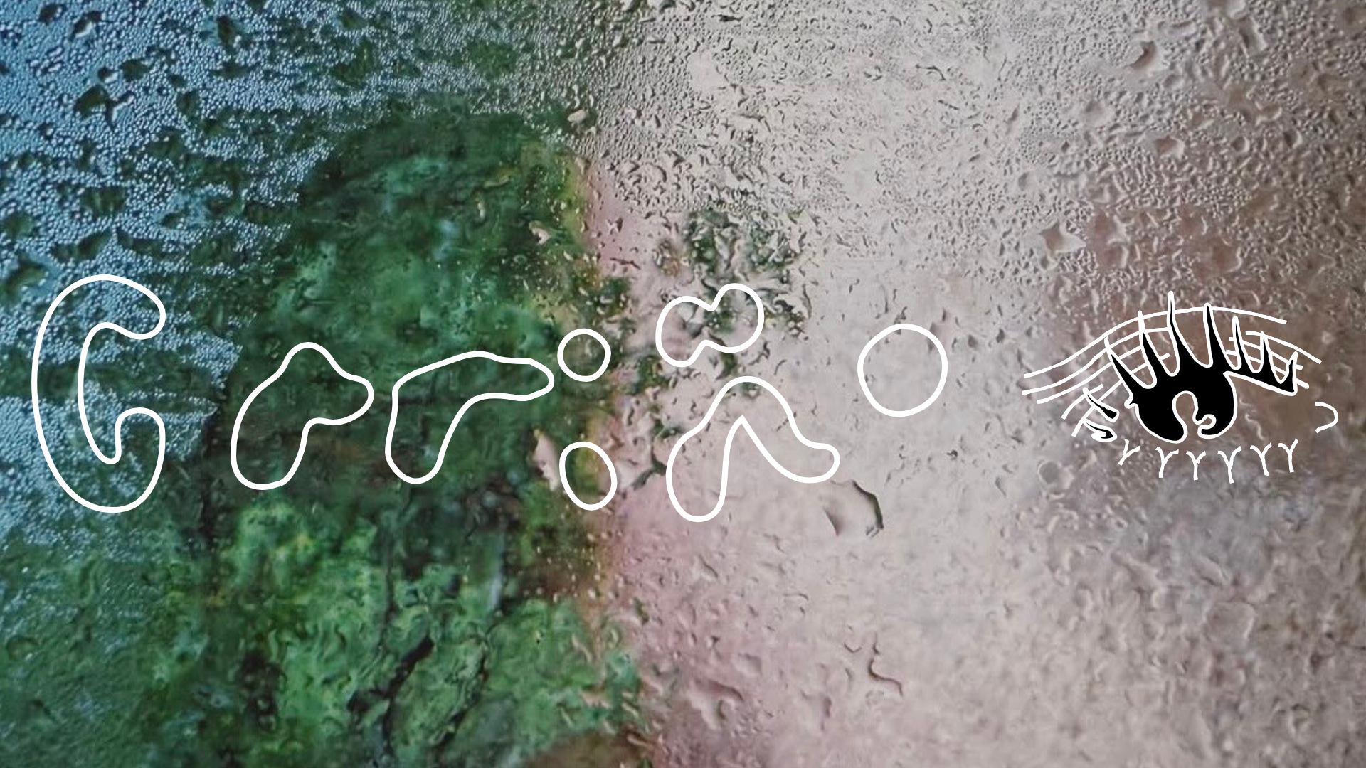 Cariño Primeiro Ato