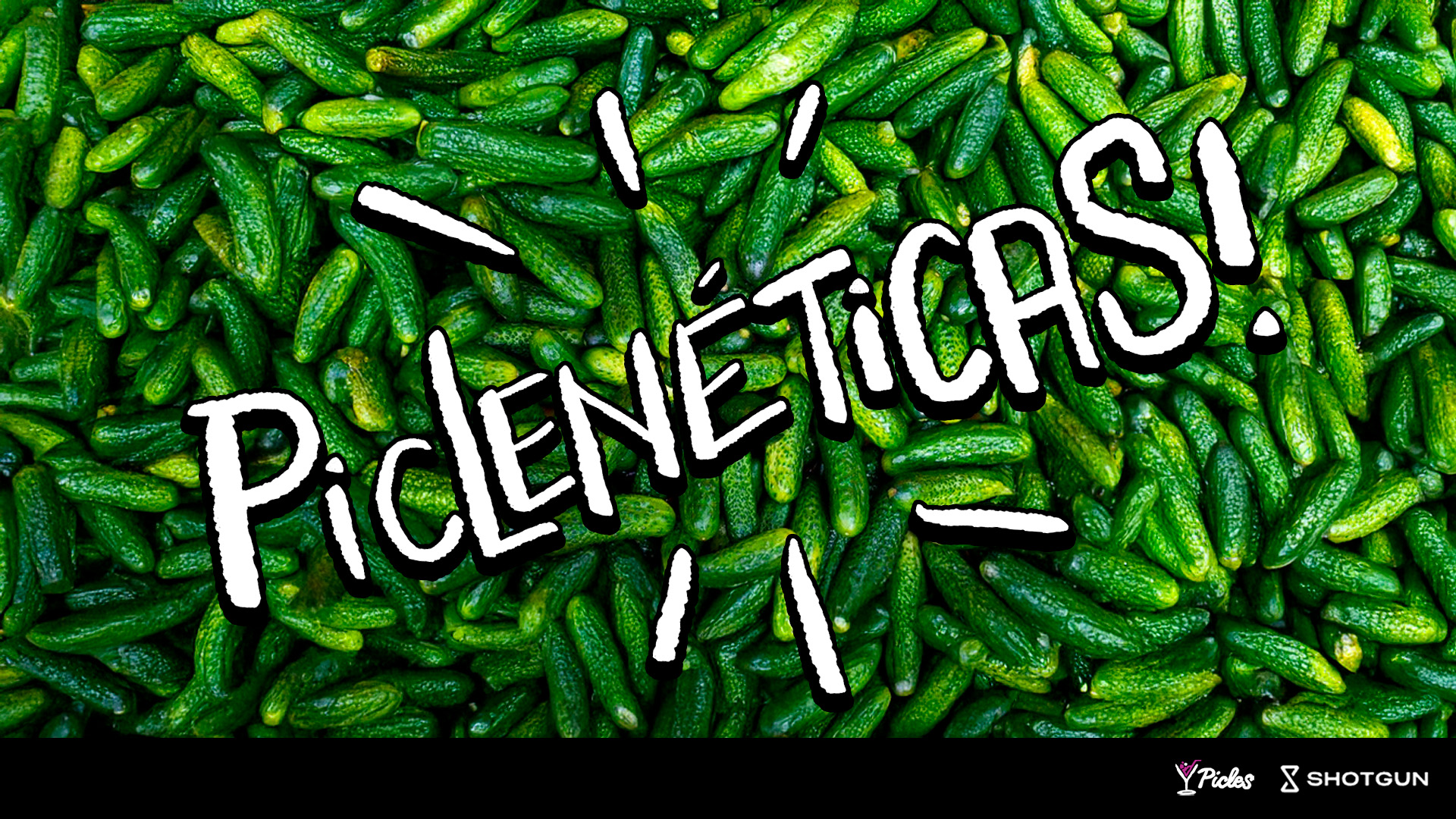 Piclenéticas - Danibuarque/Anazumpano/Fegamarano/Biavaccari