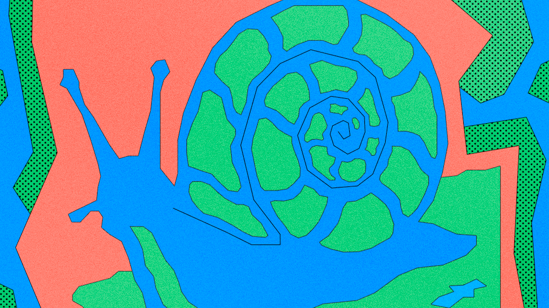 Festa Lá Em Cima No Caracol Com Vermelho