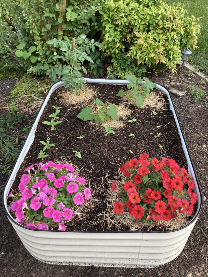 Garden photo 24
