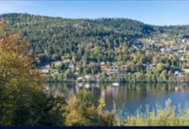 Photograph of epinal