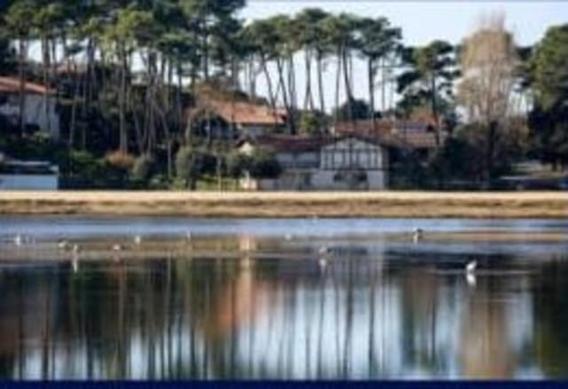 Photograph of Rion-des-Landes