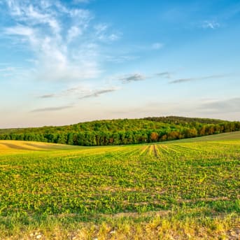 terrain à bâtir