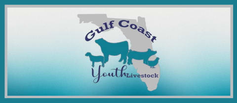 Gulf Coast Youth Livestock, Inc. cover photo