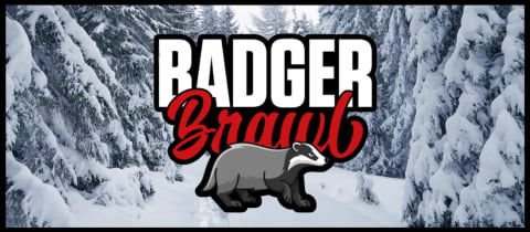Badger Brawl cover photo