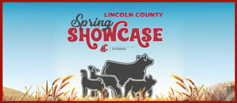 Lincoln County Spring Showcase cover photo