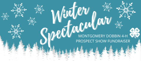 Montgomery Dobbin 4-H Winter Spectacular cover photo