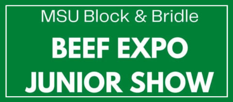 MSU Block & Bridle Beef Expo Junior Show cover photo