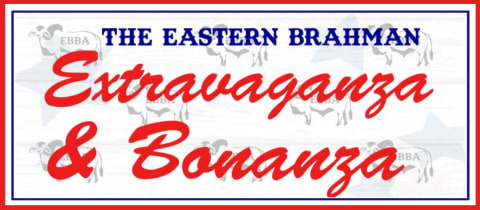 EBBA Extravaganza & Bonanza Weekend Open Brahman Shows cover photo