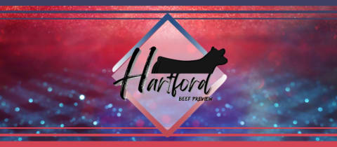Hartford Beef Preview cover photo