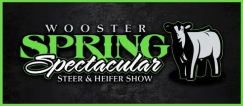 Wooster Spring Spectacular Steer & Heifer Show cover photo